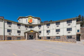 Гостиница Super 8 by Wyndham Hill City/Mt Rushmore/ Area  Хилл Сити